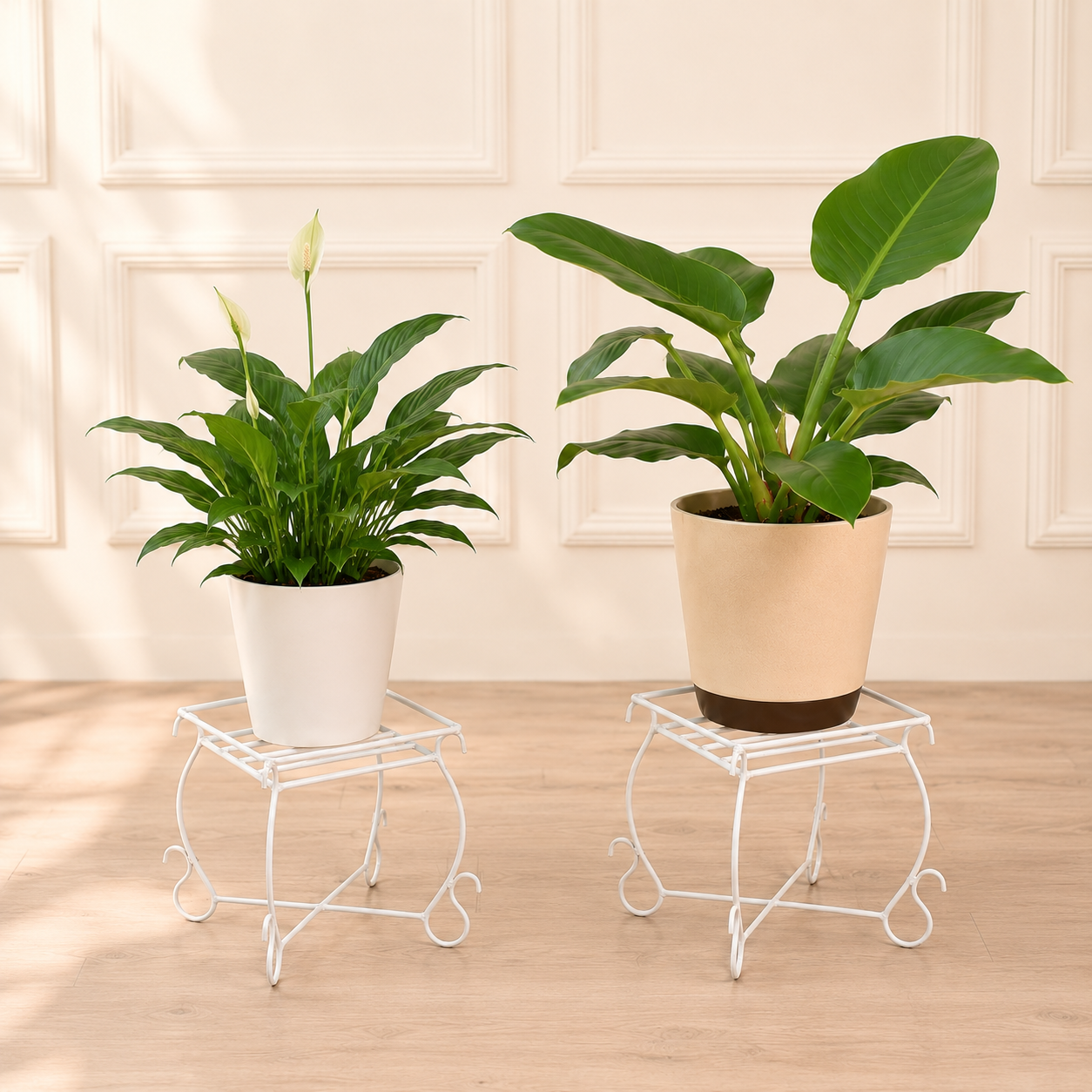 S4 - Indoor & Outdoor Stand (Set of 3)